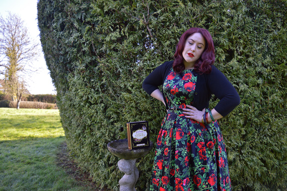 dolly and dotty vintage dresses